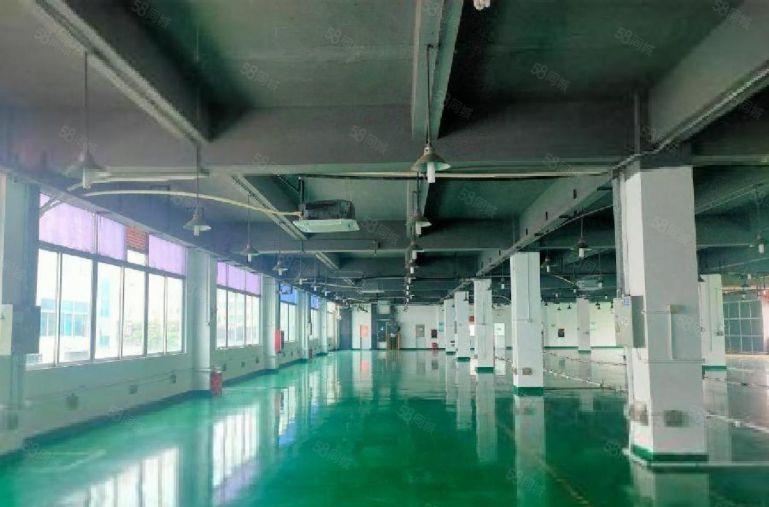 观澜原房东独院厂房出租带装修8000平可分租工业园仓库