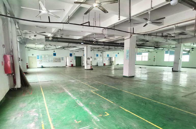 大浪商业中心整栋9000平有宿舍，1500平分租租金25元起