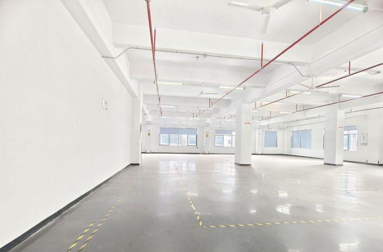 龙华大浪原房东厂房出租500至4000平方红本实际面积出租