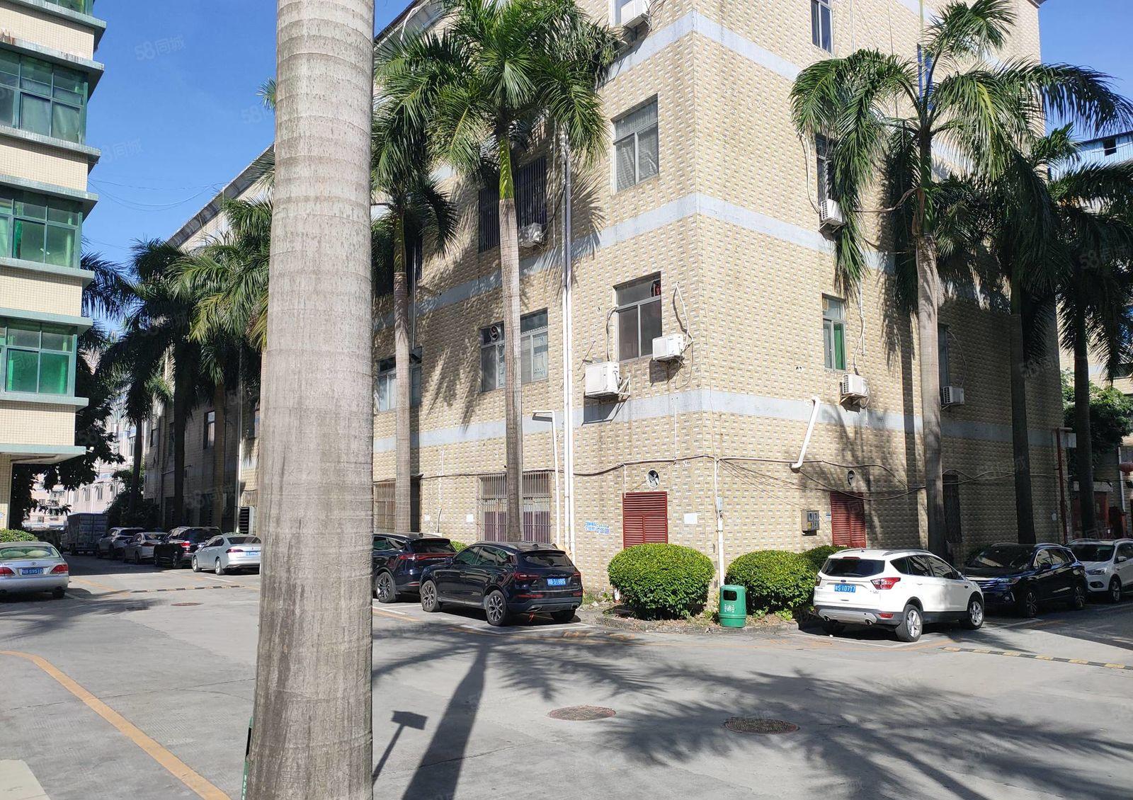 龙华大浪精装修1500平厂房出租可分租园区形象好仓库出租