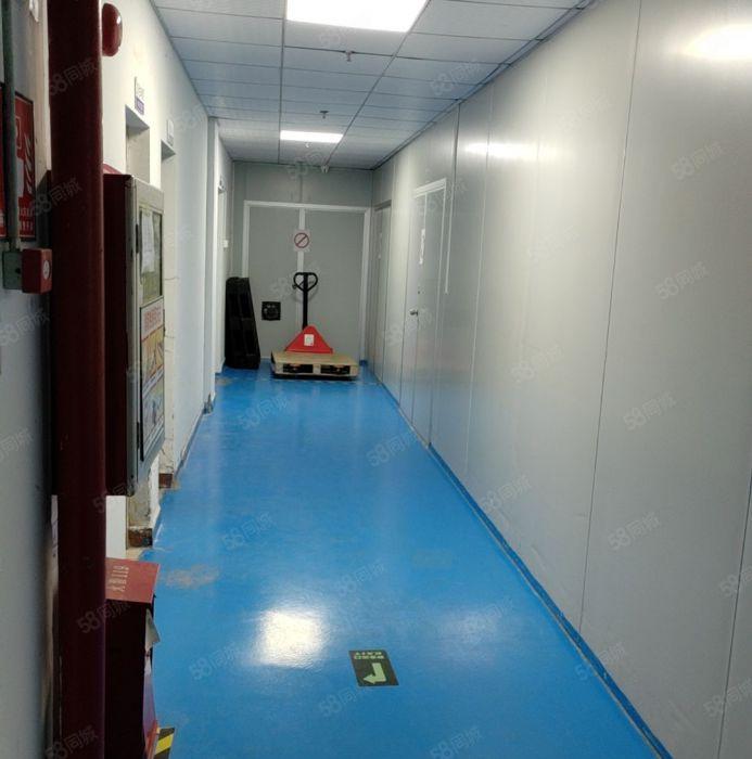 观澜现成万级无尘车间1041平20块钱一整层带办公室装修