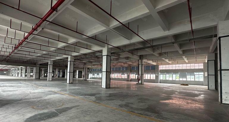 龙华中心福龙路口超大型数字物流仓一楼1000平起租带卸货平台