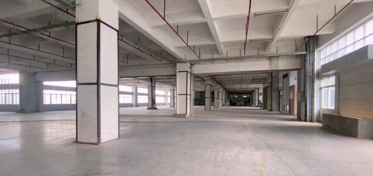 龙华大浪低价仓库生产研发办公厂房出租200平起分租精装修