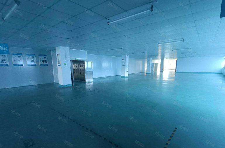 300起租 观澜红本工业园一二楼各2000平厂房出租实际面积