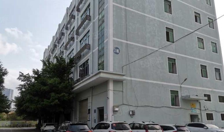龙华工业区原房东独门独院整层精装修红本仓库厂房出租无尘车间