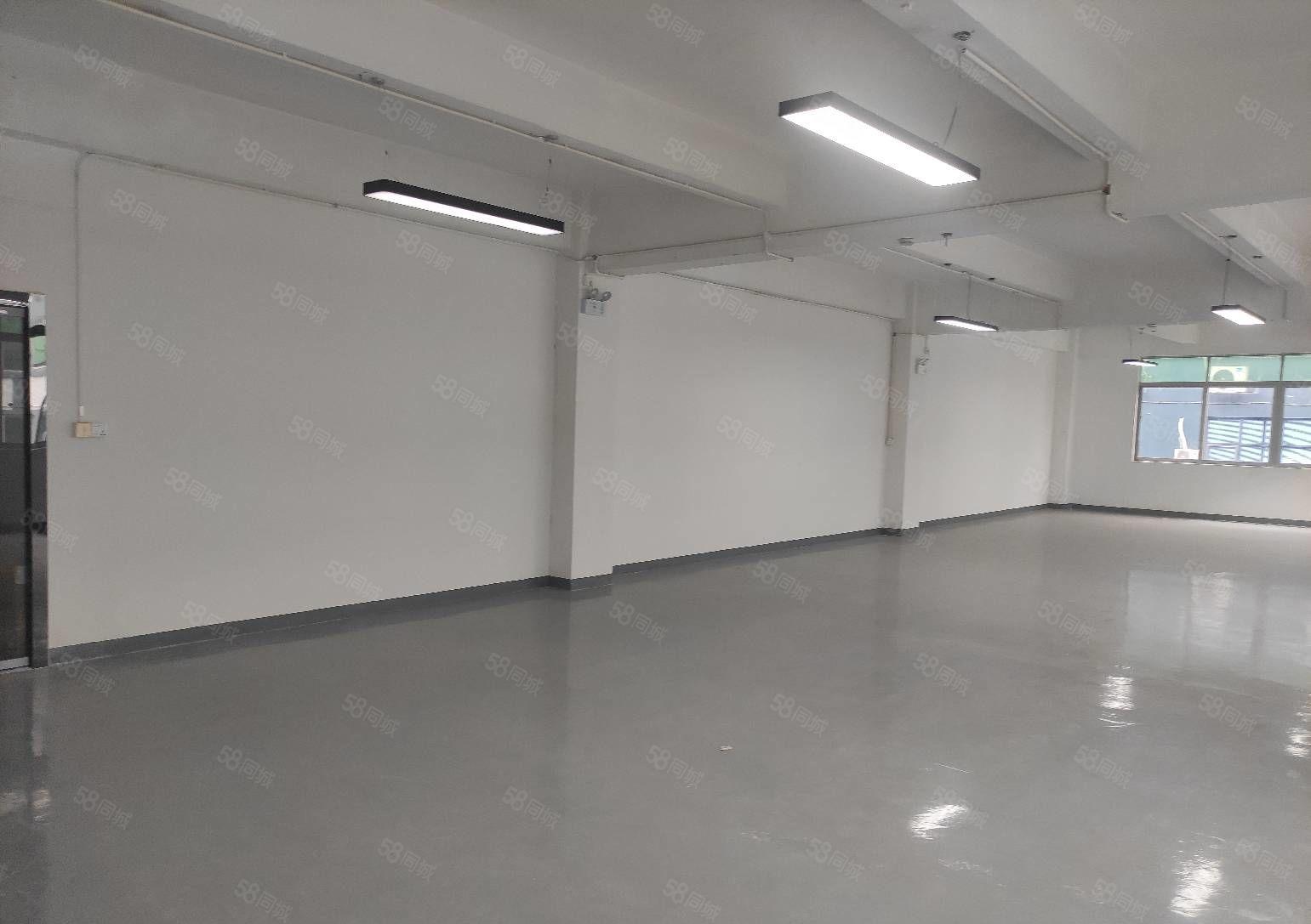 龙华油松双面采光精装厂房300平米出租