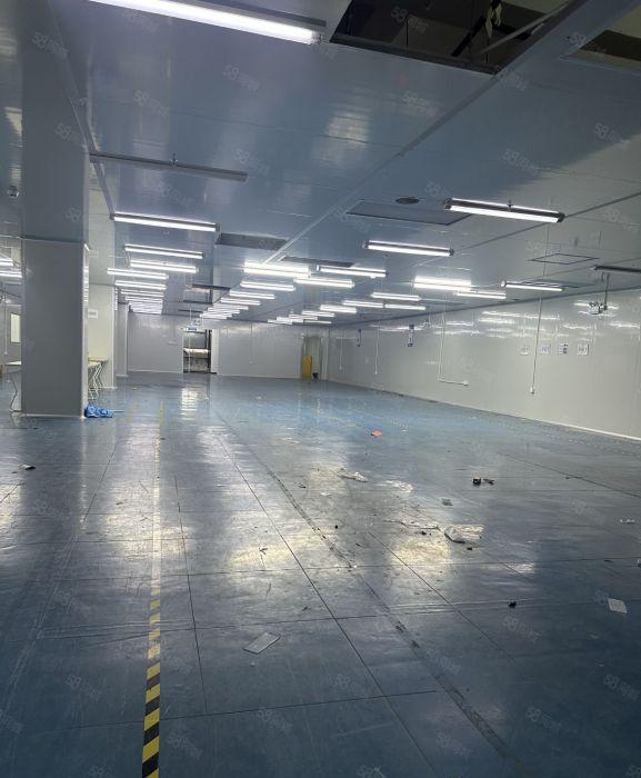 龙华大浪商业中心附近整层1500 原房东 现成无尘车间出租