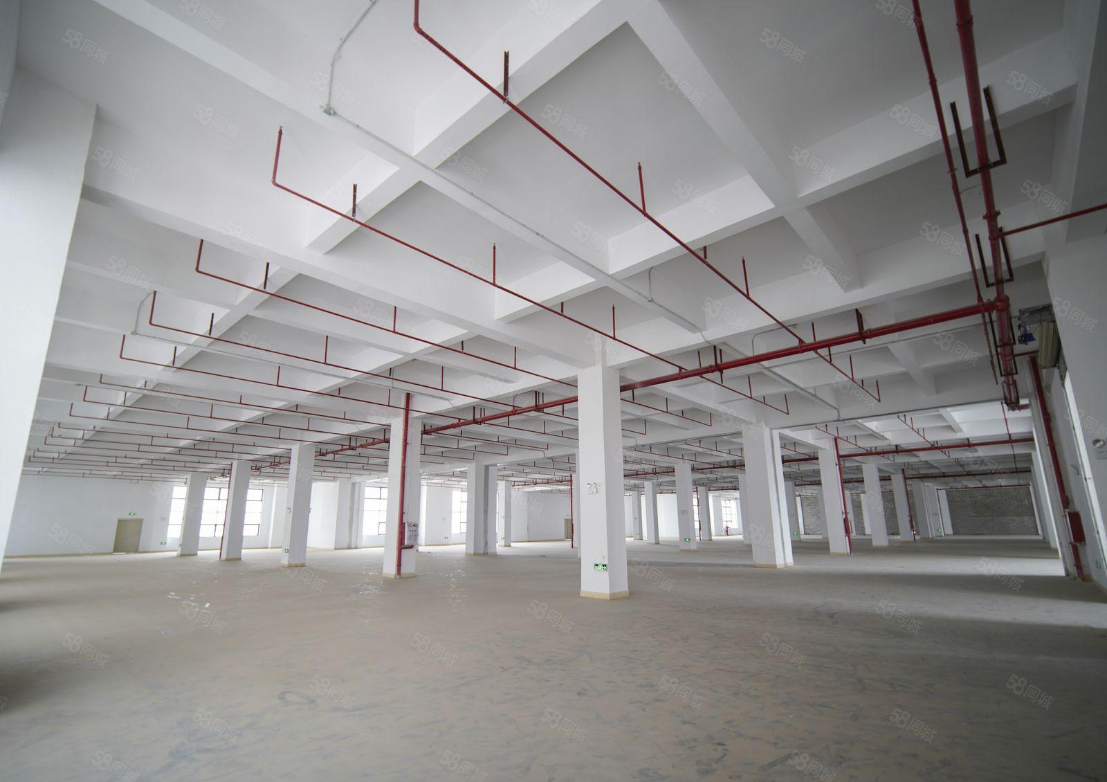 临深圳，黄江整层7750平米工业厂房业主直租，形象好可办环评