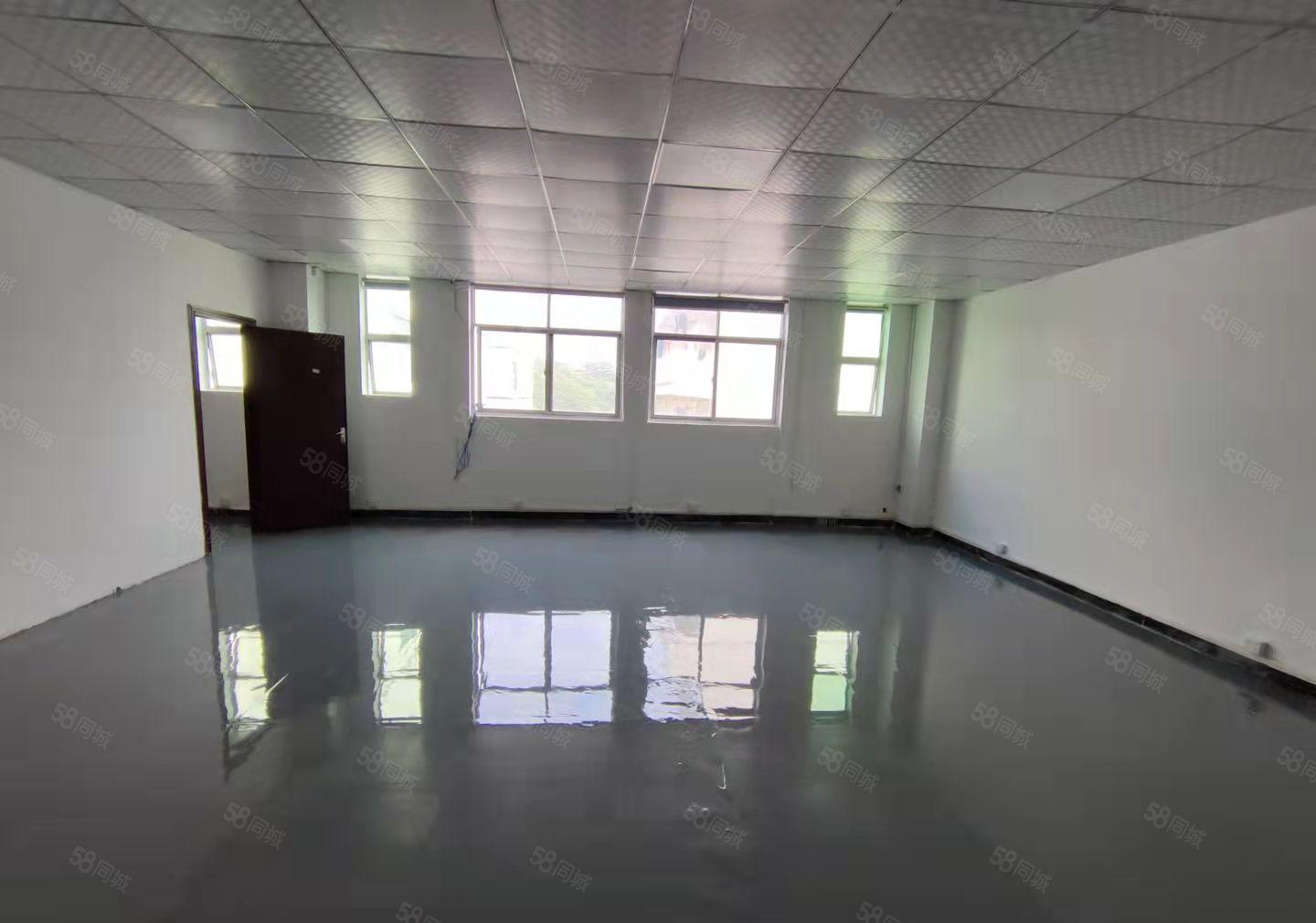 龙华大浪新百丽附近新出360平精装办公厂房出租