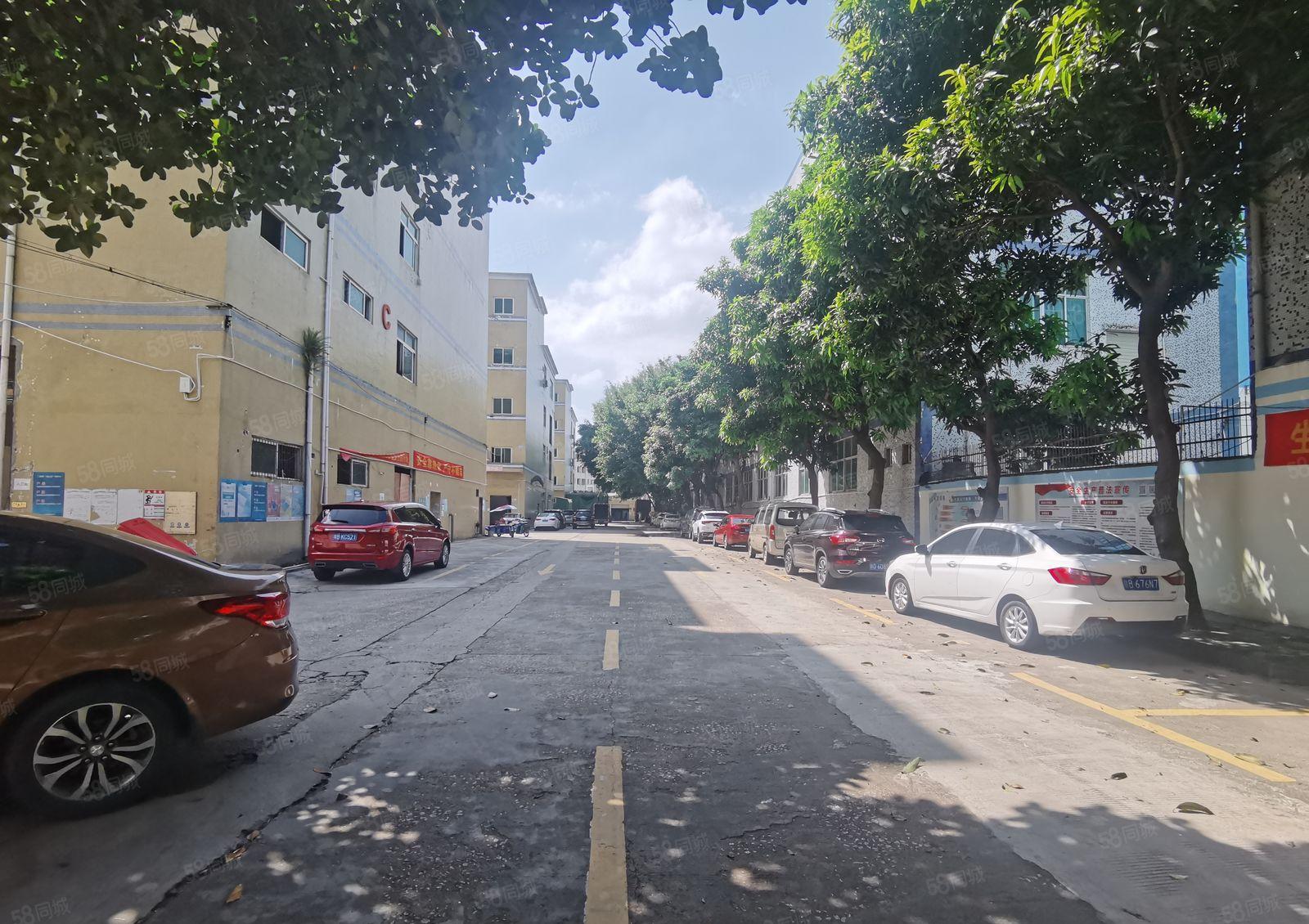 观澜松元环观中路有轨电车站台附近新出1200平楼上厂房出租。