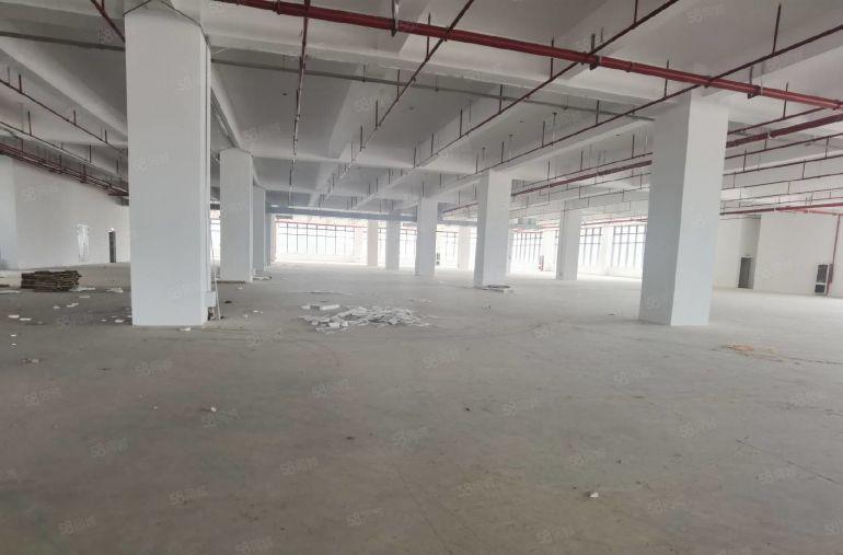 低价！观澜章阁12万平方红本工业研发办公厂房出租500平起分