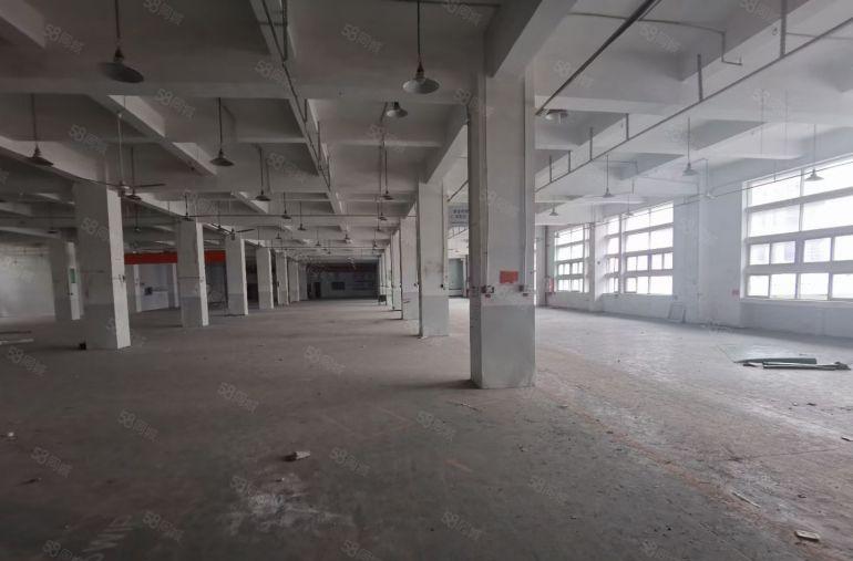龙华区高新企业1楼2楼共16000平方厂房招租