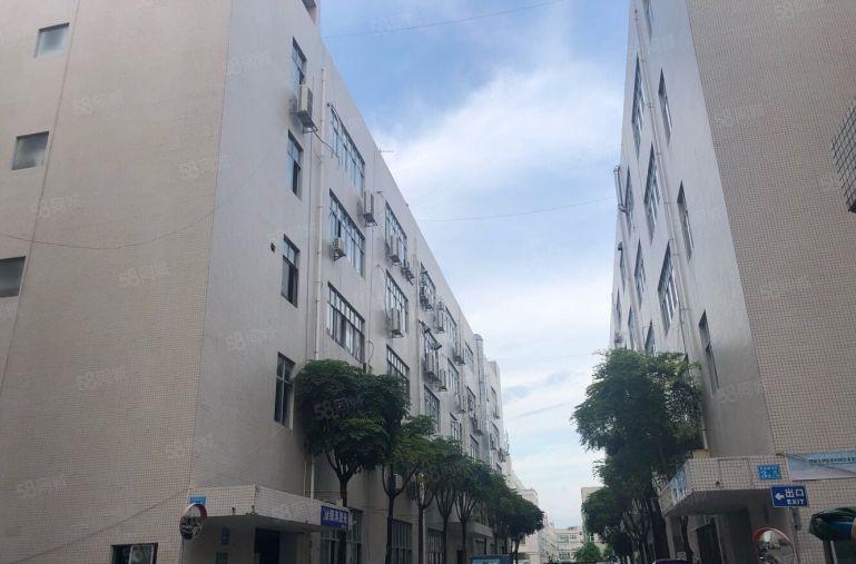 大浪商业中心附近新出楼小面积厂房出租，300平米起分适合办公