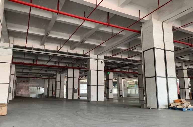 物流快递仓龙华清湖龙华文化广场旁一楼500平起厂房出租空地大