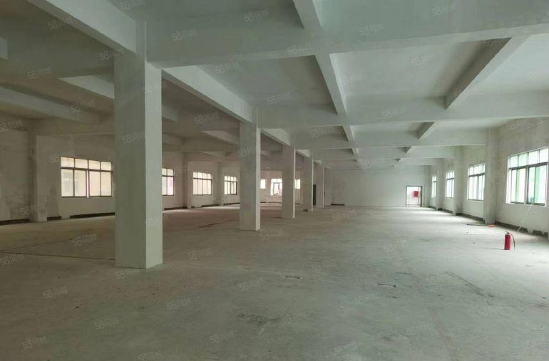 龙华地铁口红本独院厂房仓库2600平出租场大形象好易招工