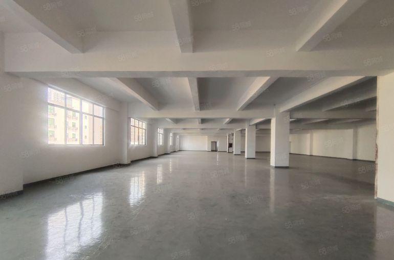 200平起分龙华大浪商业中心羊台山地铁口原房东独栋9600平