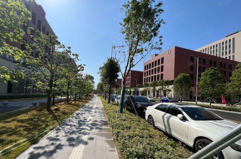 24块一平500平起分，龙华观澜章阁新建红本科技园20万平