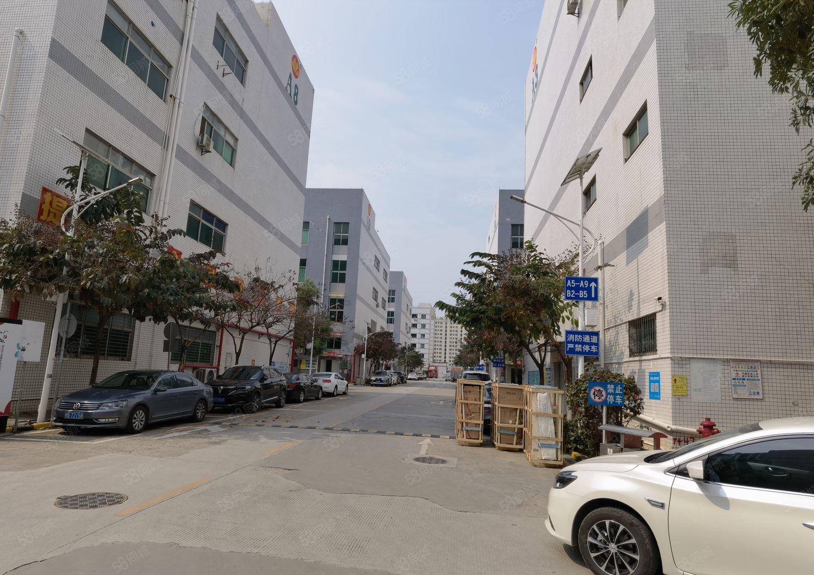 观澜硅谷动力3600平方厂房出租可分层出租单层1200平方