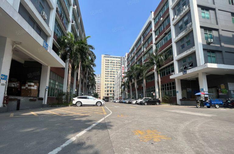 龙华油松380平原房东厂房出租带精装大气前台2加1格局好停车