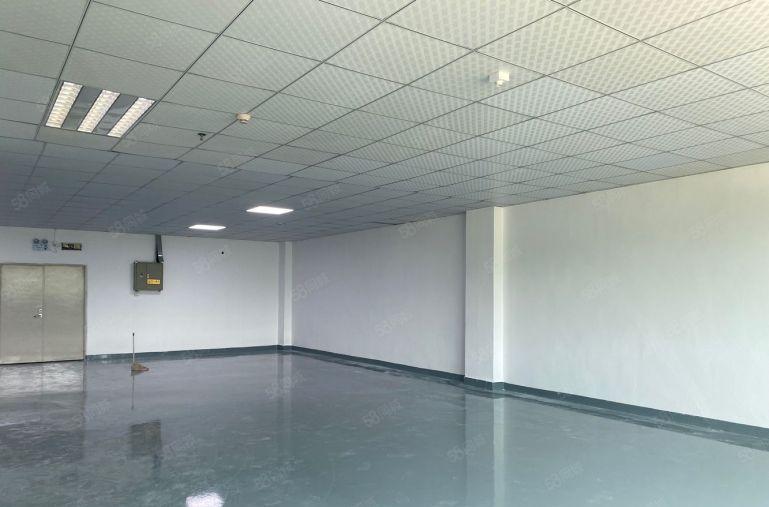 观澜福民小面积厂房，260平320平，380平420平等招租