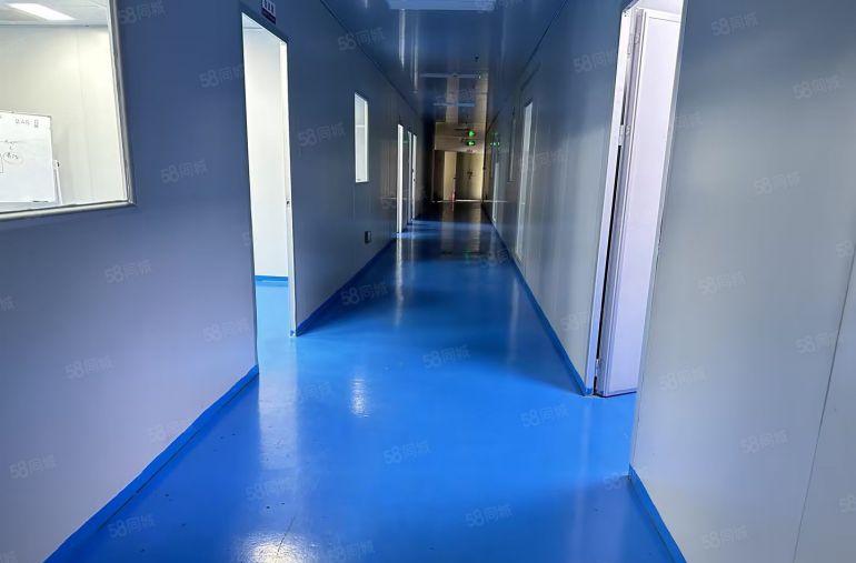 0押金观澜厂房带宿舍地铁口抄底价格精装修