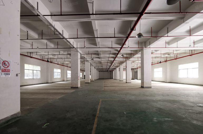200平起租龙华汽车站后单层2400平原房东厂房仓库电商出租