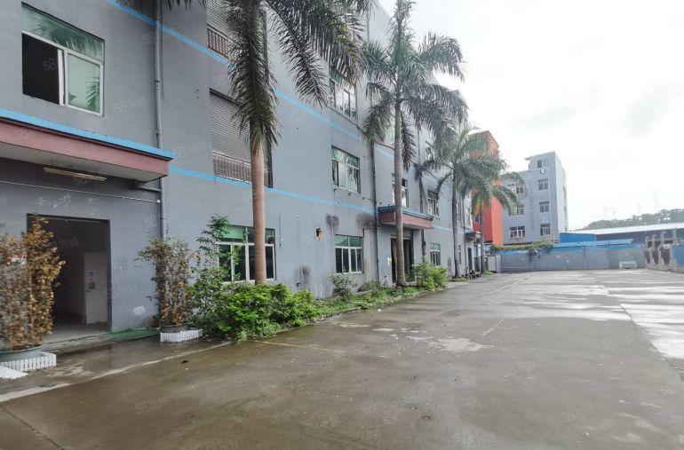 龙华地铁口新出红本原房东独院7100平厂房出租可分租一楼6米