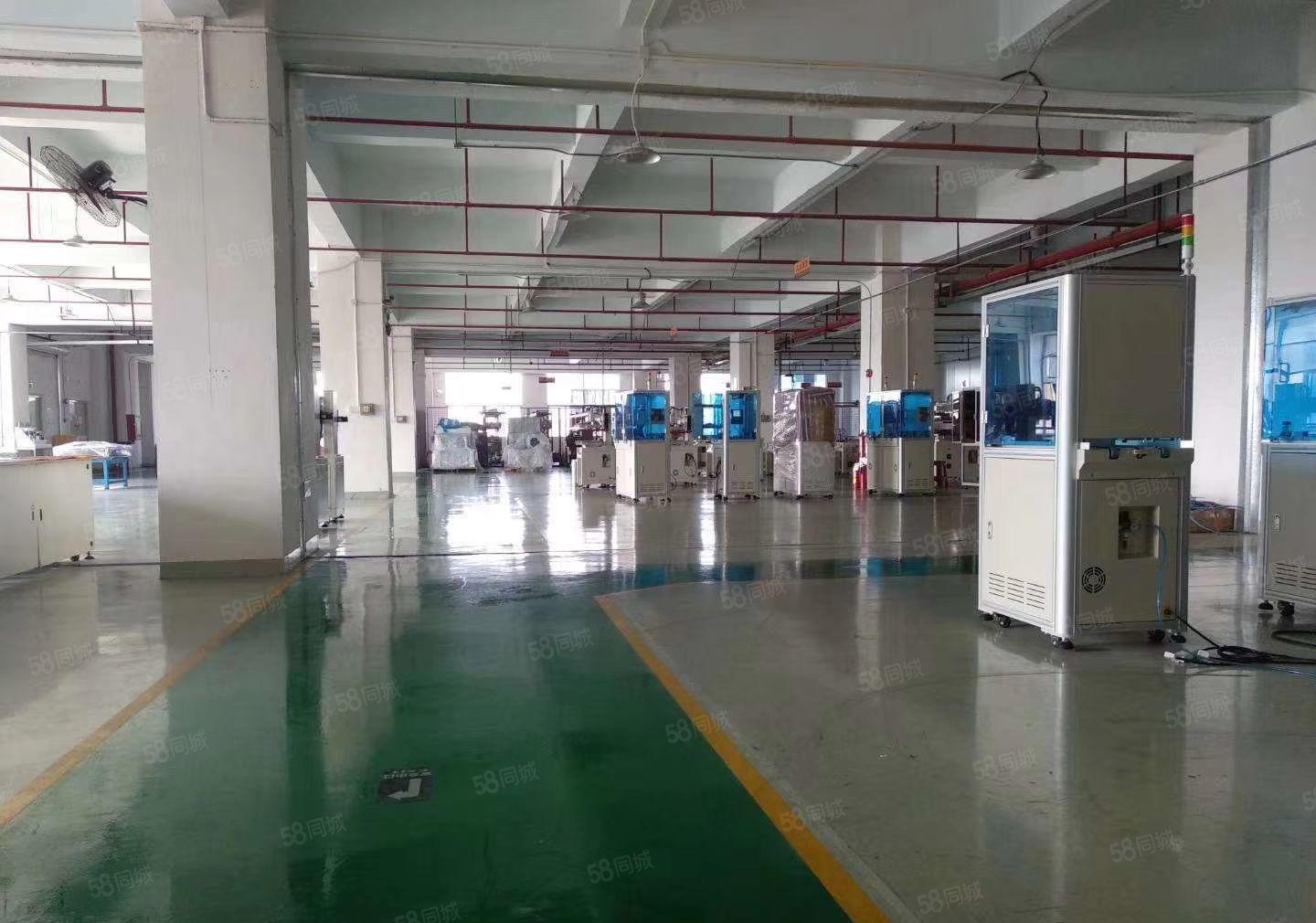 大浪新出高新园区一楼二楼每层3000平可分租6米高