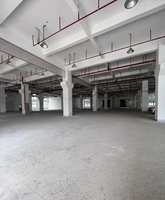 20元平米起龙华大浪服装基地产业园出租2000平米交通便利