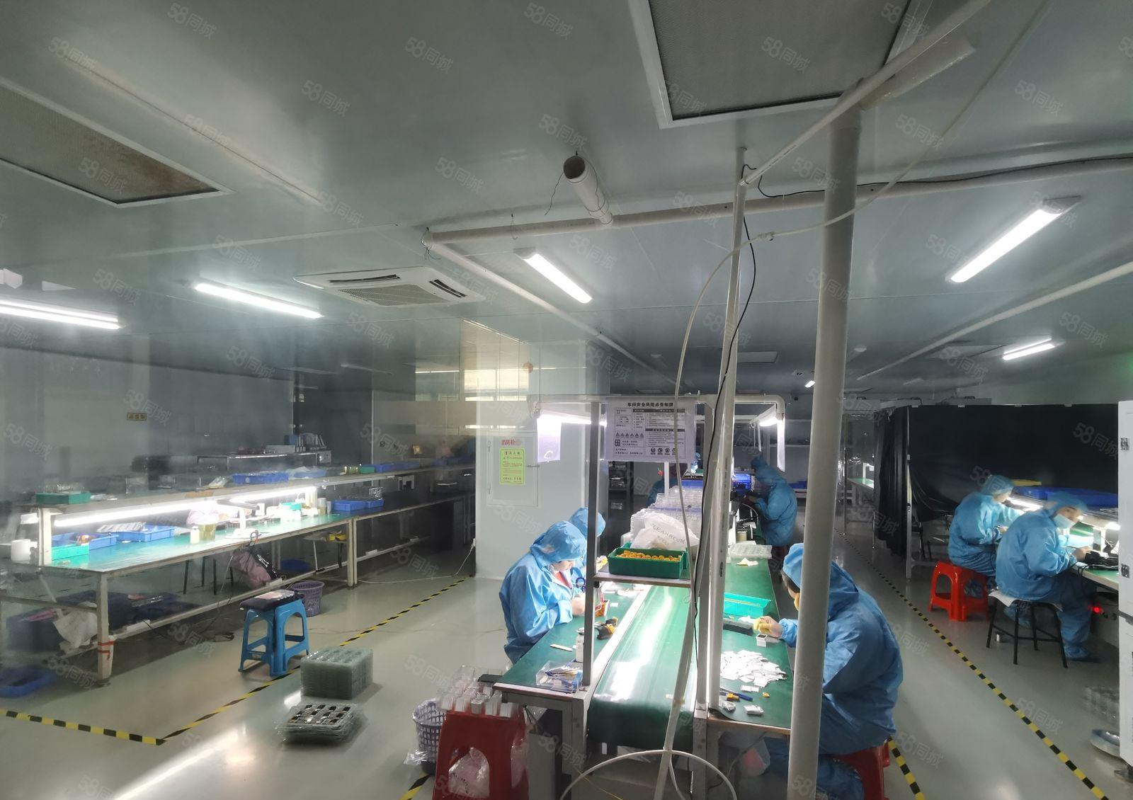 无尘车间出租！观澜大富工业区2000平方精装修厂房出租转租