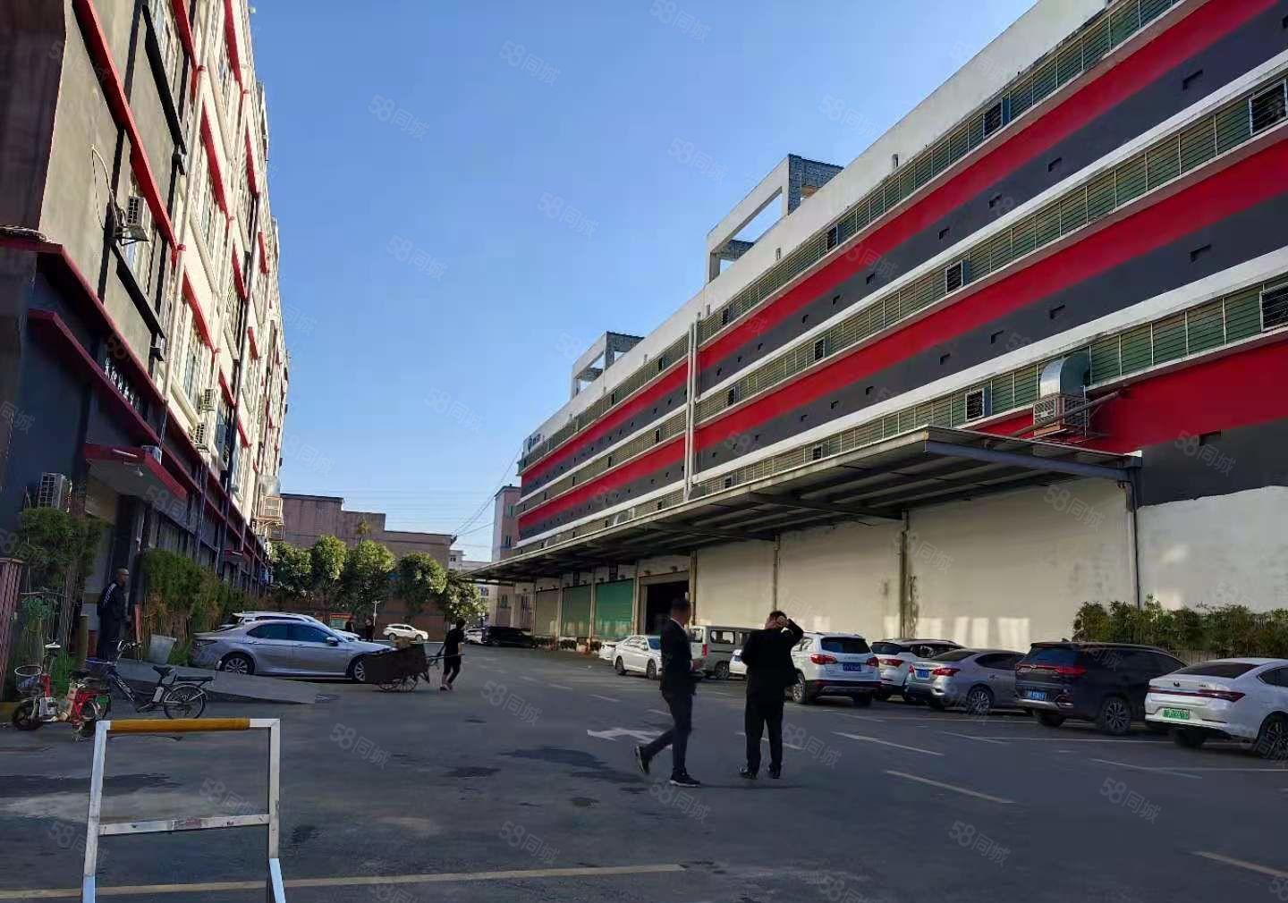 观澜樟坑径五和大道旁新出800平带办公室精装修厂房业主直租