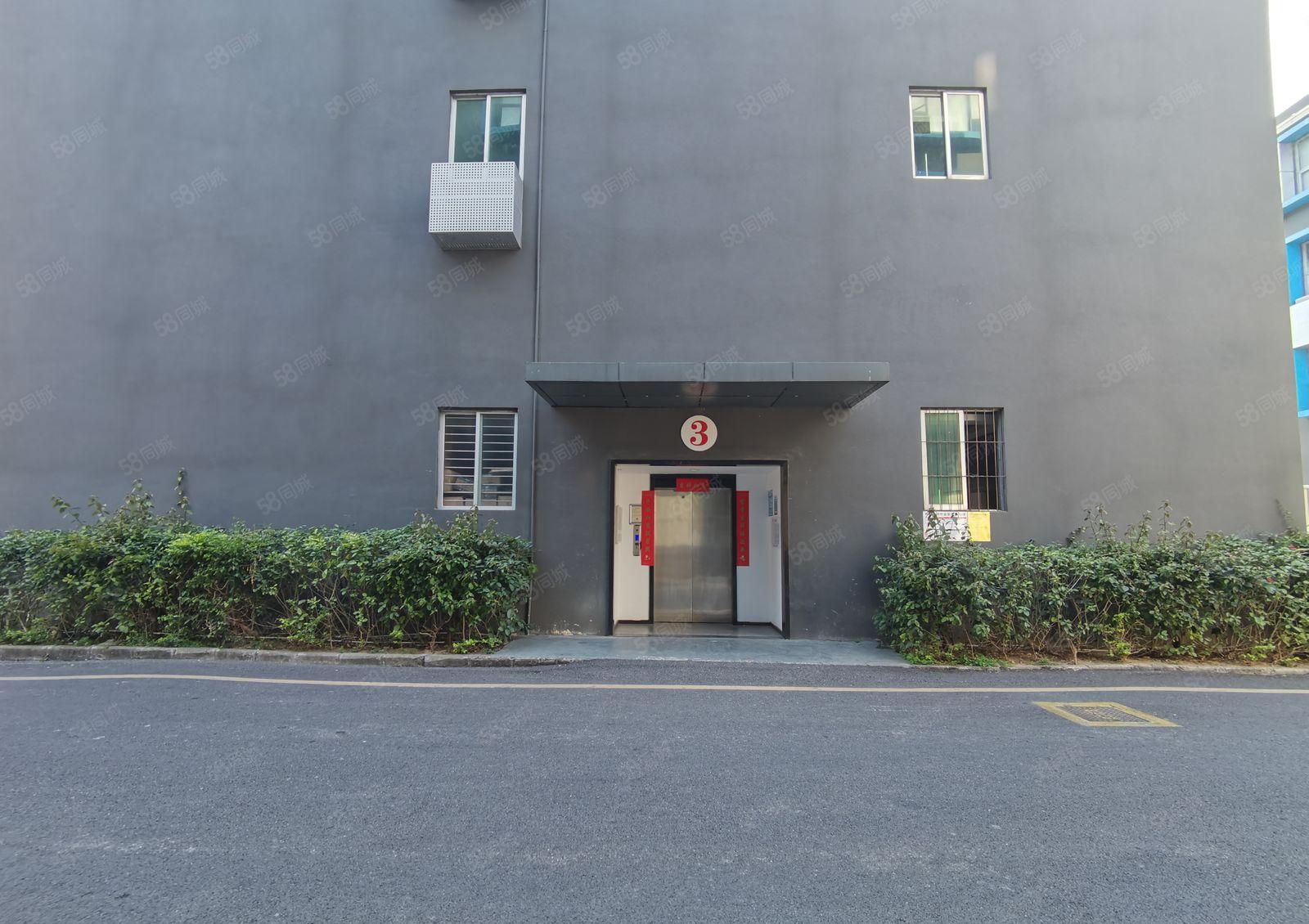 龙华独院独栋厂房低价出租一楼仓库出租可分租小面积冻库无尘车间