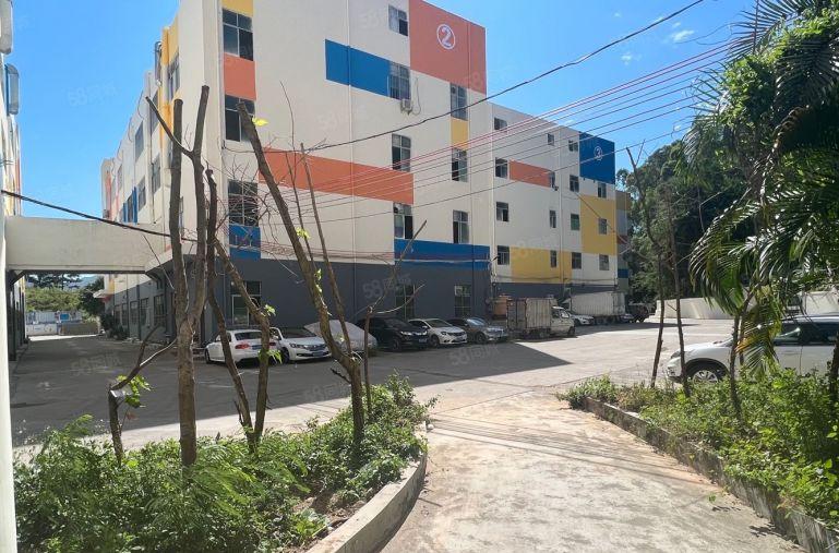 年前免租！观澜大道新出一楼1500平二楼2000平特价出租