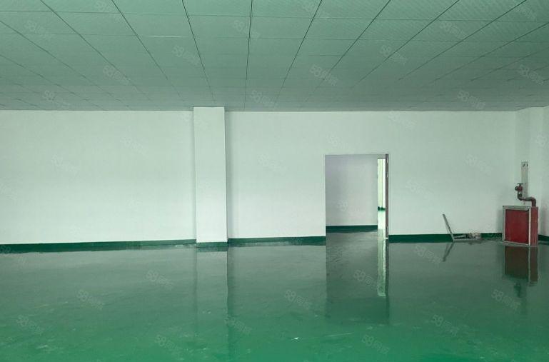 观澜樟坑径，原房东厂房500平出租，全新精装修