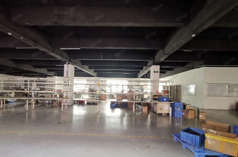 大浪新百丽300至1000平原房东独院精装修一楼仓库厂房出租