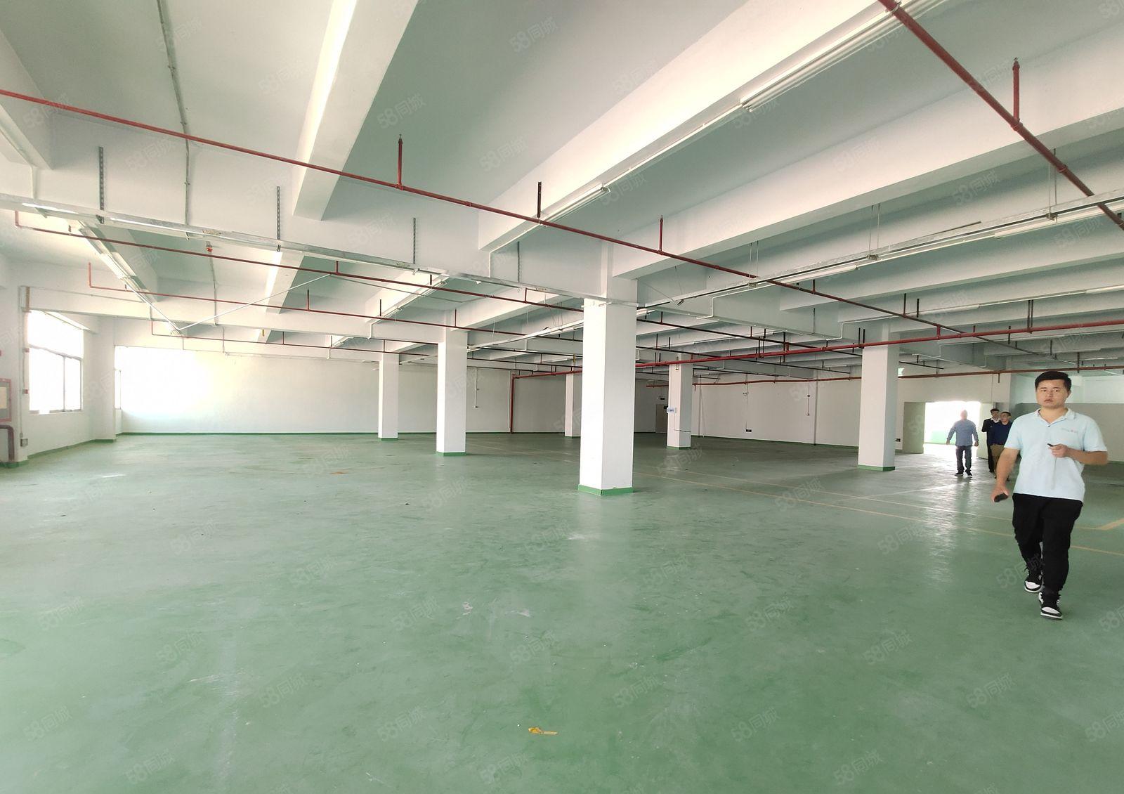 出租|龙华观澜黎光楼上3300平整层精装修全新地坪漆厂房出租