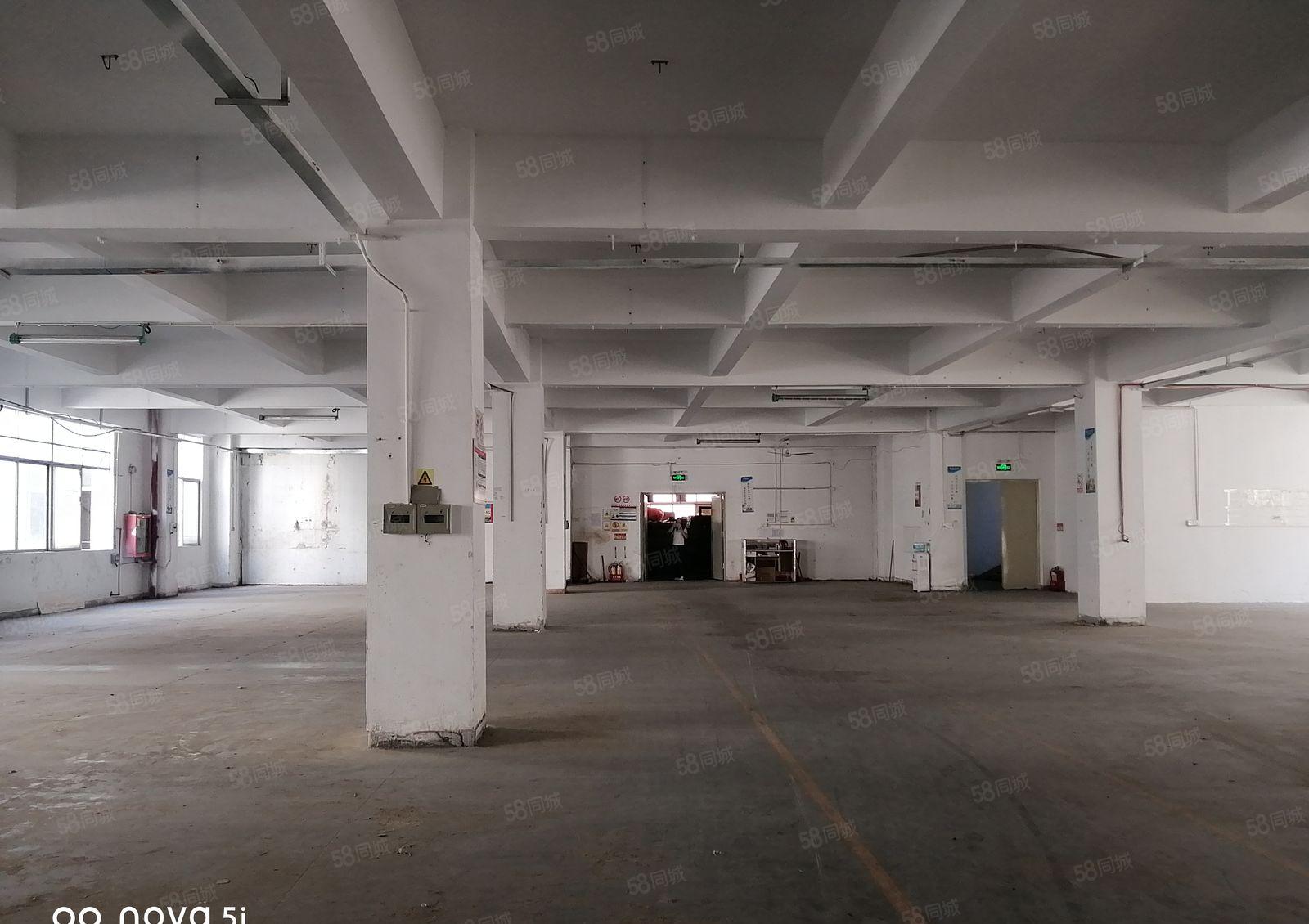 （原房东红本）龙华清湖宝能科技园独栋13500平标准厂房出租