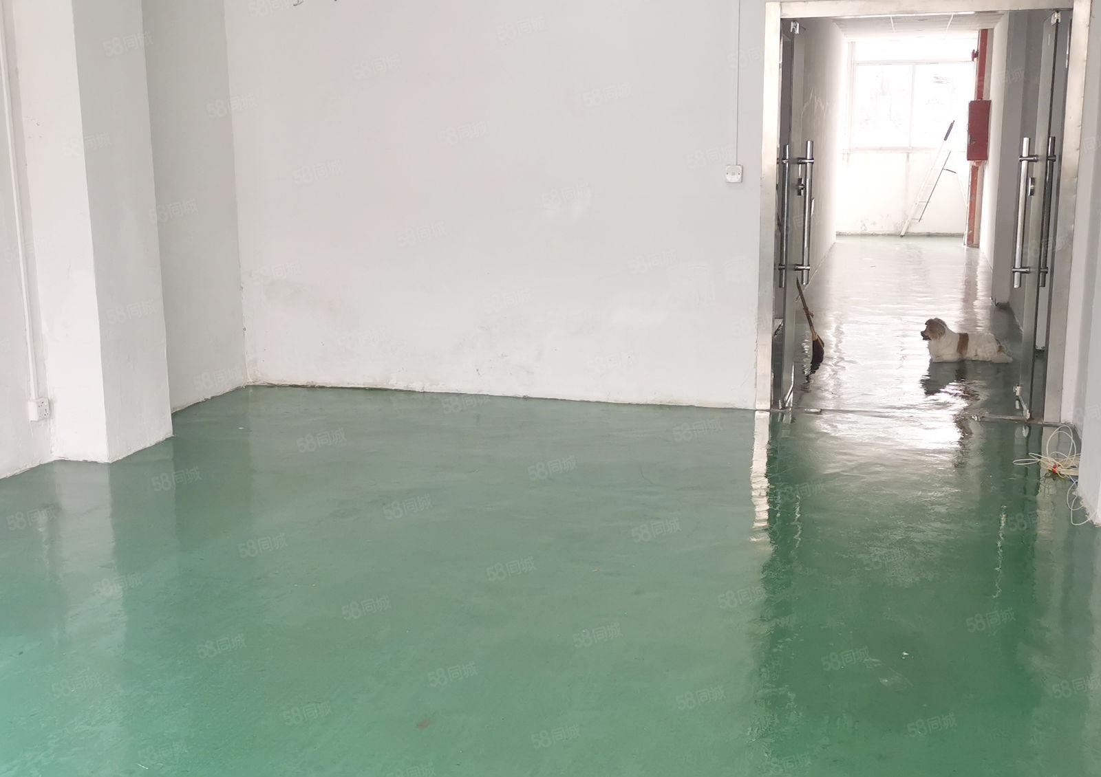 龙华观澜梅观高速出口小面积80平厂房办公室仓库招租