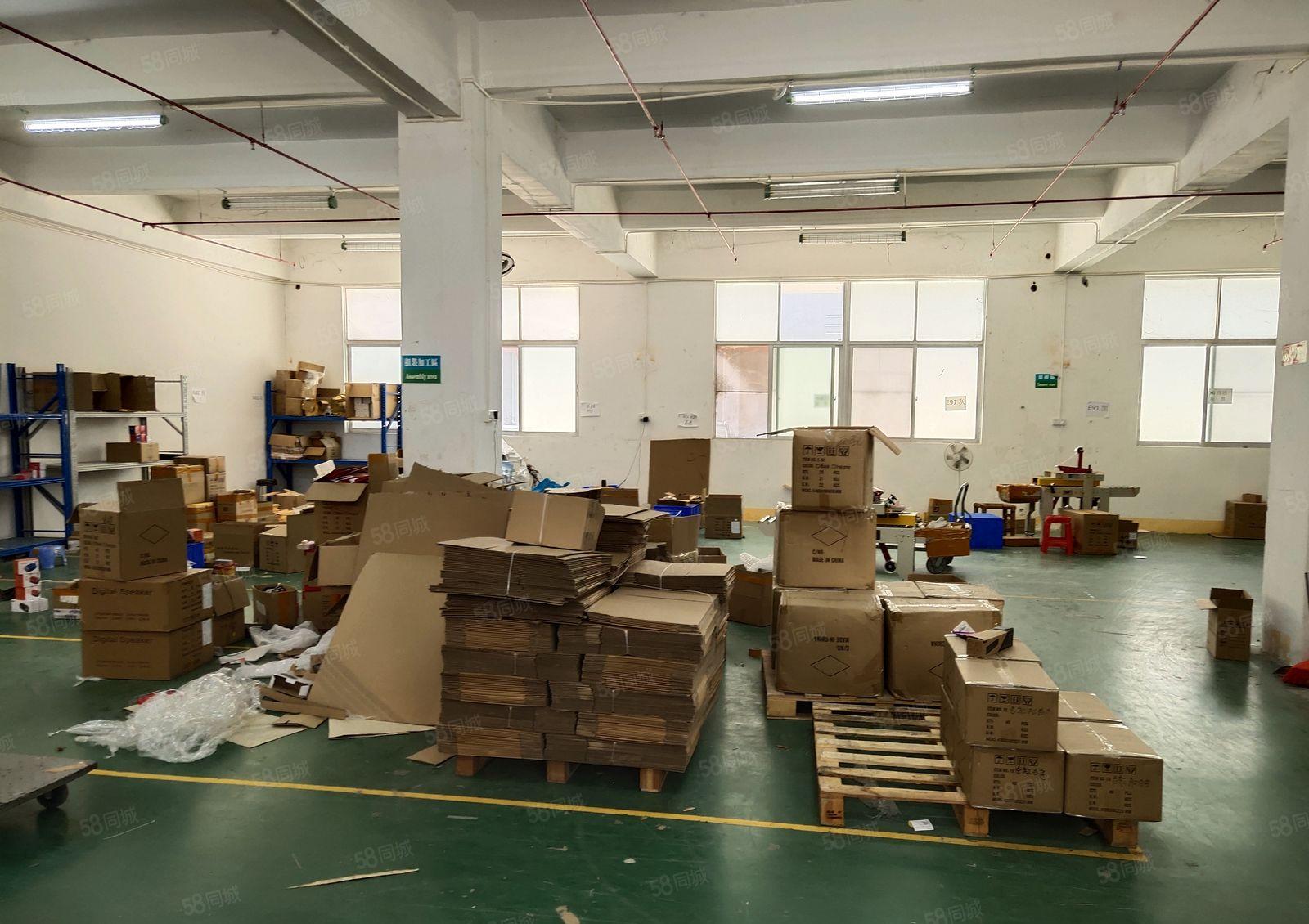 大浪新园区新出一楼475平方标准厂房出租水电齐全园区环境好