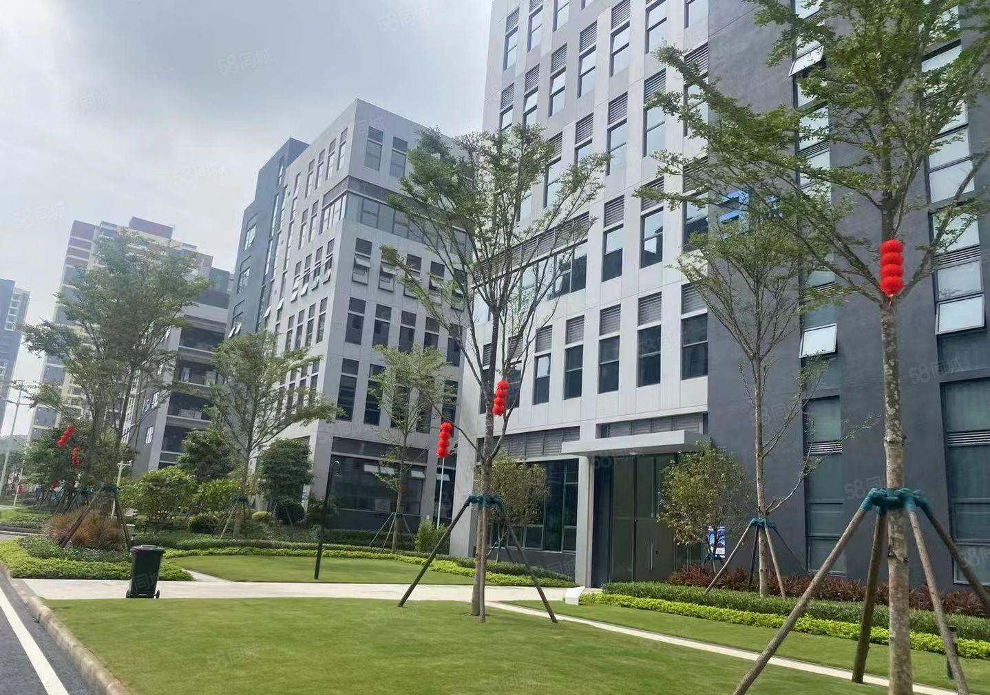 1000平方起，观澜樟坑径80000平，厂房出租，红本，低价