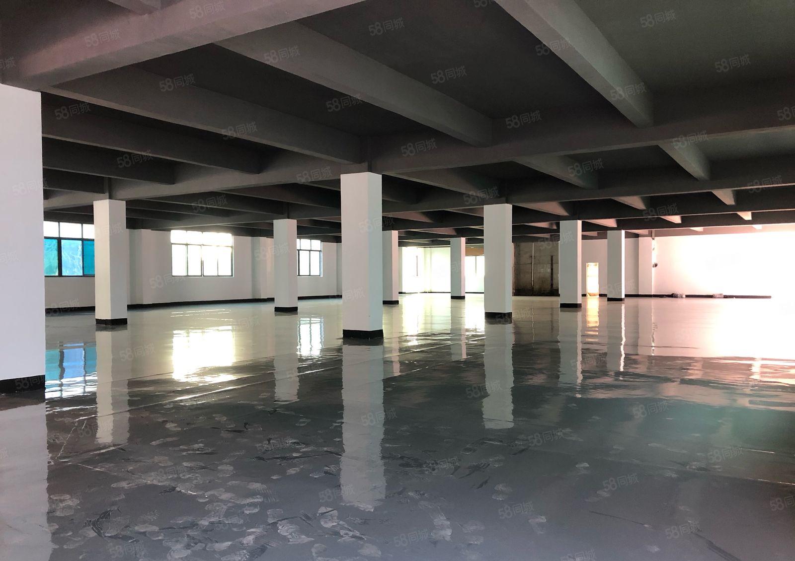 100平起分龙华地铁口独院整层2000平带装修大小可分