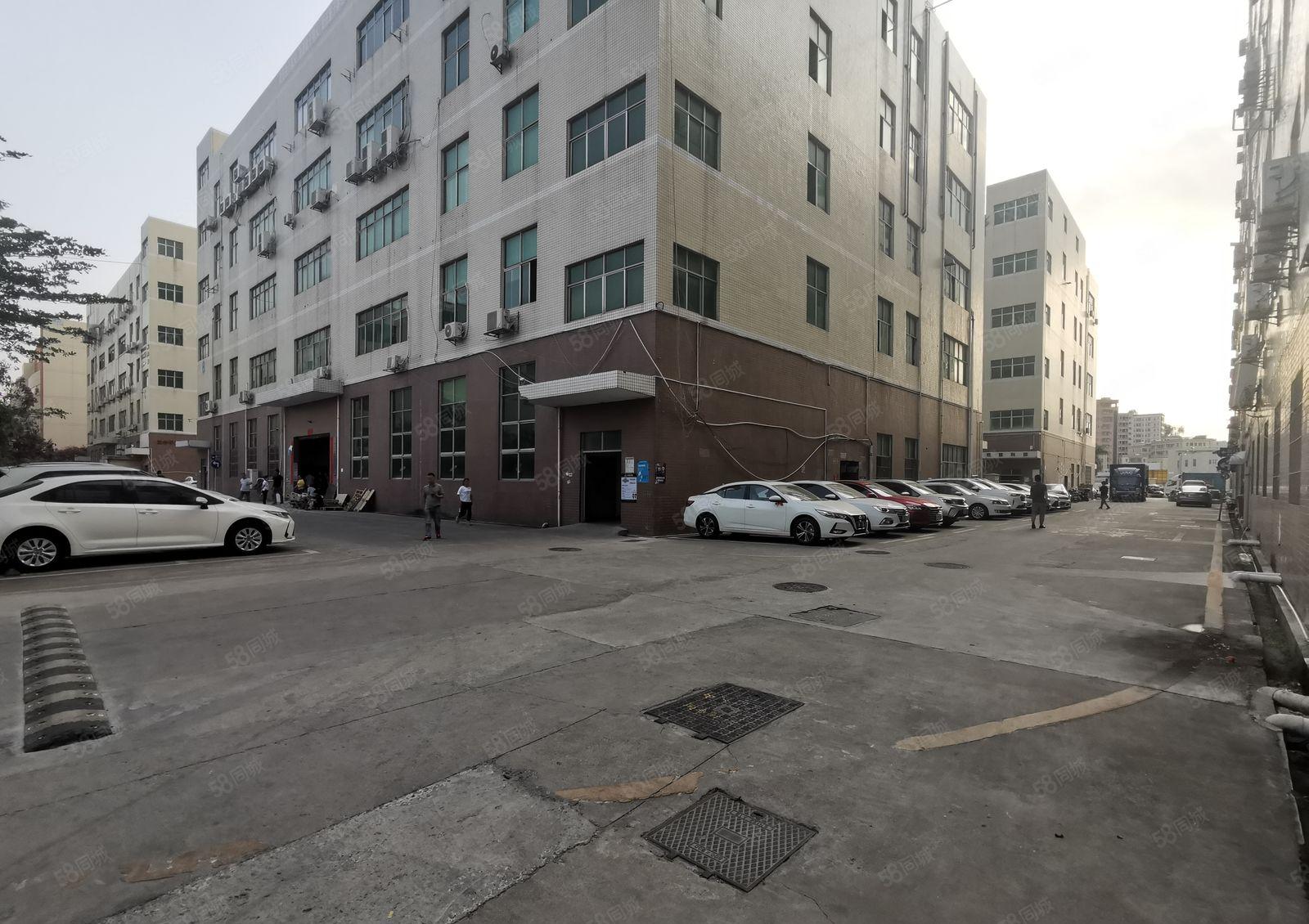 龙华观澜大富独门独院工业园12000平办公室无尘车间厂房出租