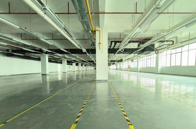 龙华新区主干道边工业楼上标准厂房2000平，低价出租，好招工