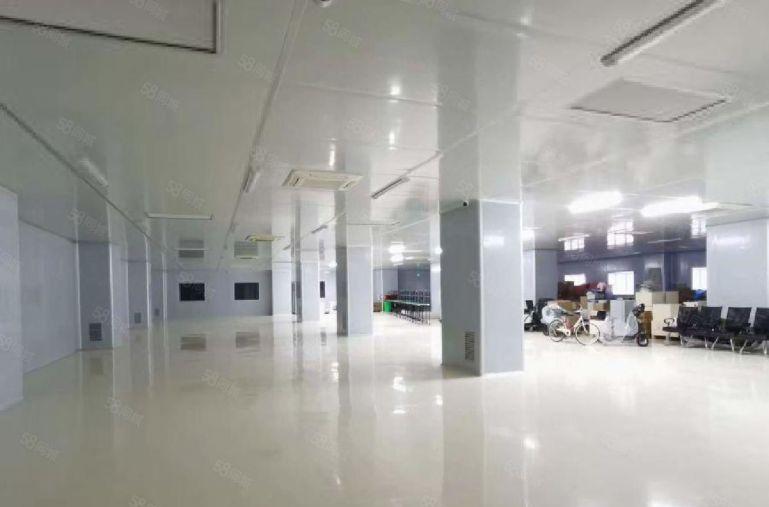 观澜高新科技园1800平厂房出租带无尘车间全新装修可分租