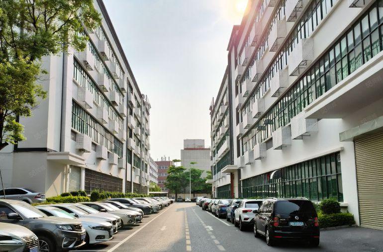 龙华新区主干道边工业楼上标准厂房2000平，低价出租，好招工