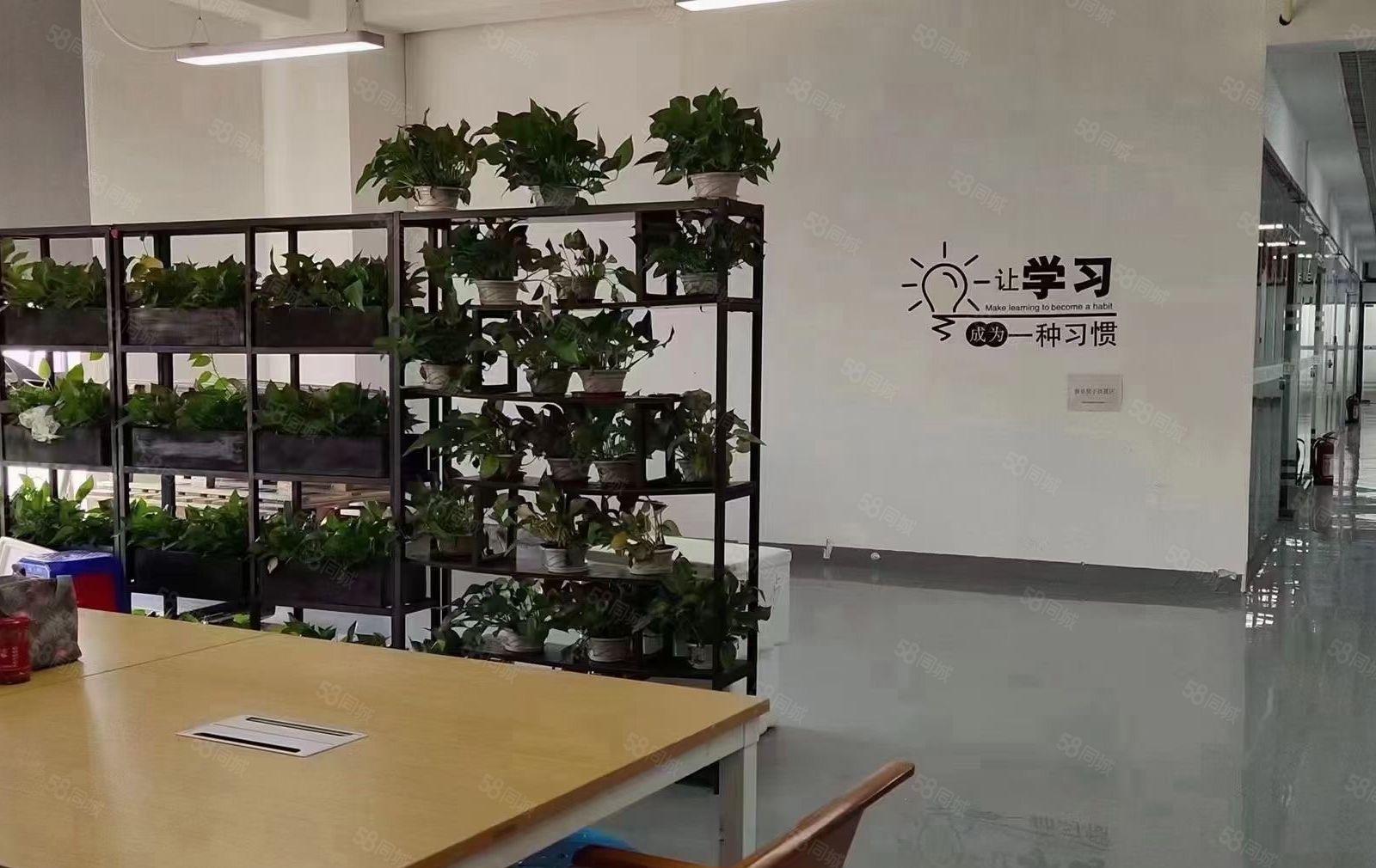 龙华大浪甲级红本园区楼上整层2800平带装修家私空调齐