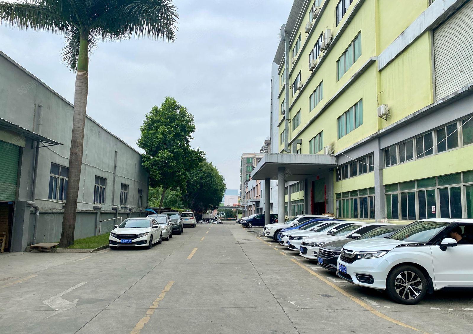 观澜厂房新田低价出租原房东，新出楼上2000平，大型园区。