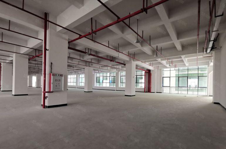 龙华大浪6500平原房东独门独院独栋红本厂房出租可分租无公摊