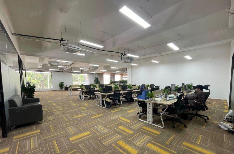 龙华大浪花园式厂房精装办公仓库厂房200平起租 拎包入住