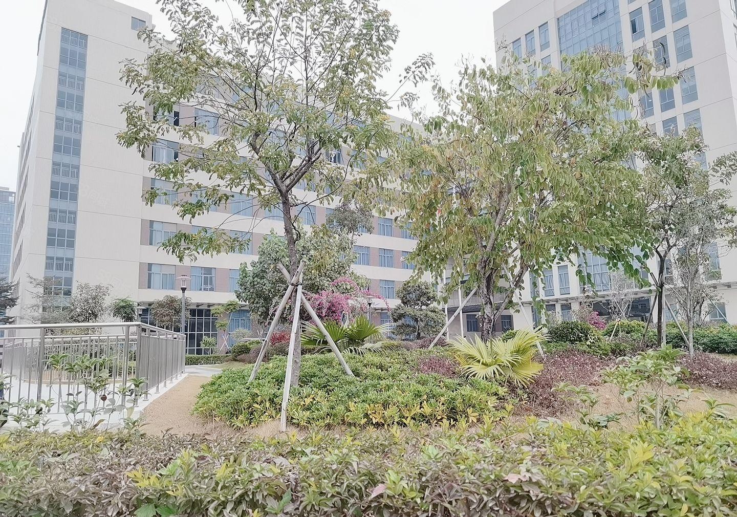 200平起大浪商业中心原房东工业园区标准厂房二楼1000平方